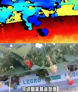 成熟度分析技術(shù)